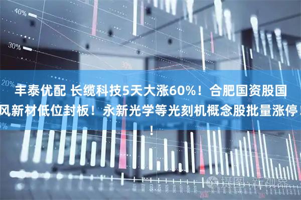 丰泰优配 长缆科技5天大涨60%！合肥国资股国风新材低位封板！永新光学等光刻机概念股批量涨停！