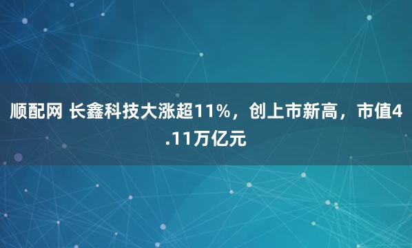顺配网 长鑫科技大涨超11%，创上市新高，市值4.11万亿元